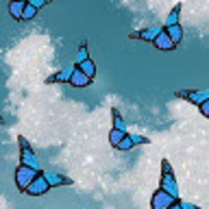 Meet your Posher, Laffy